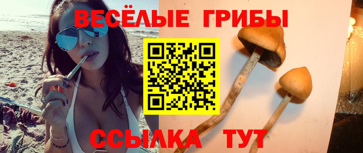 Новороссийск  Псилоцибиновые грибы мицелий  Вход с VPN 